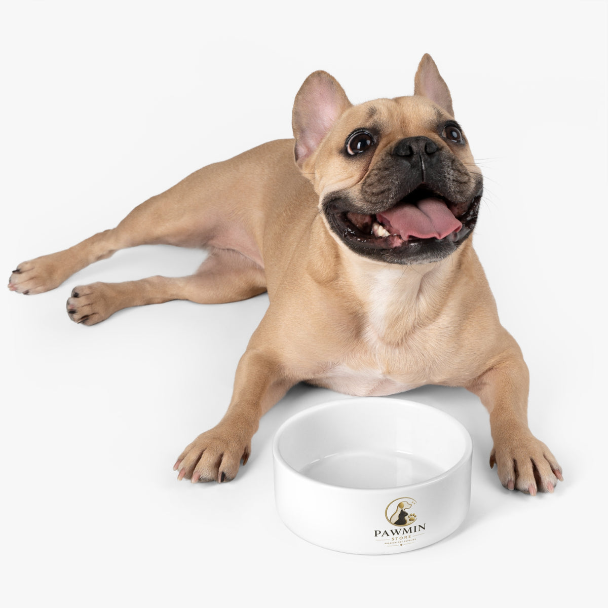 Pawmin Ceramic Pet Bowl — Minimalist Dog & Cat Food Dish with Logo